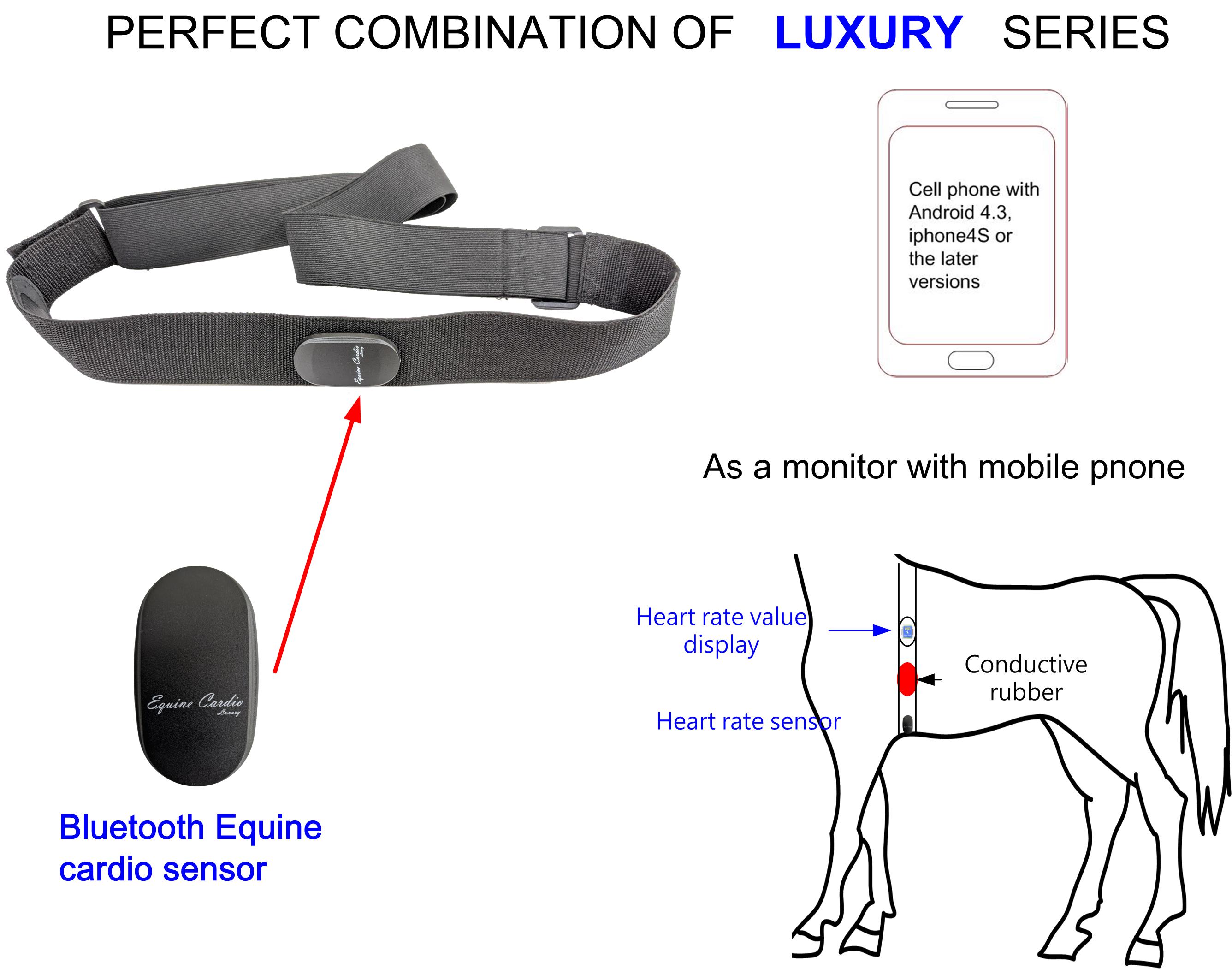 5.3KHz心率帶,gpulse heart rate monitor,Lifevisa,lifevisa,Taiwan Biotronic,5Khz heart rate,馬心率，馬心率監視器,horse heart rate monitor